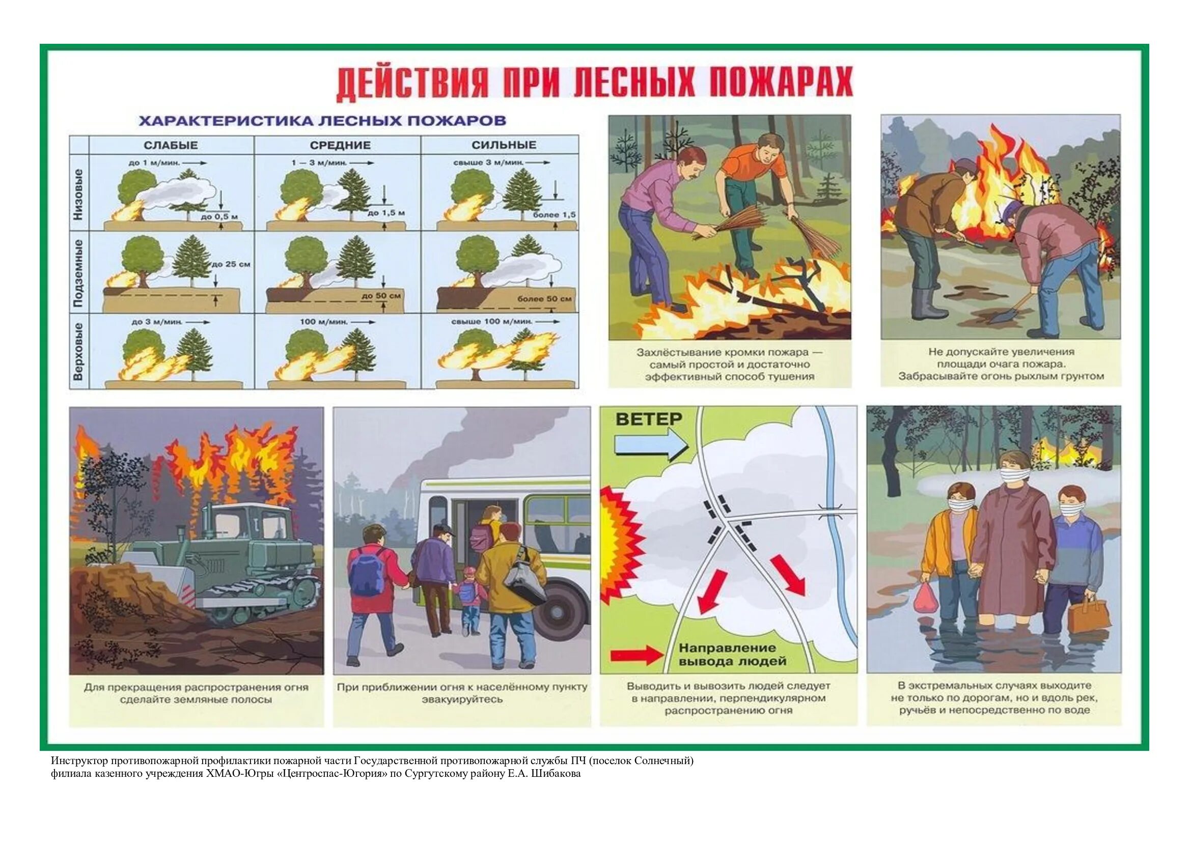 виды лесных пожаров действия при лесном пожаре. лесной пожар низовой верховой почвенный. виды лесных пожаров действия при лесном пожаре. разновидности лесных пожаров. действия населения при лесных пожарах.