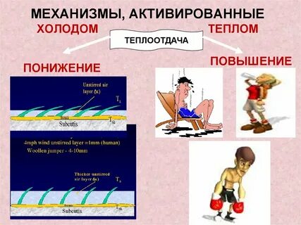 Активируйте механизм