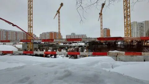 Совхозная 55 1 реновация