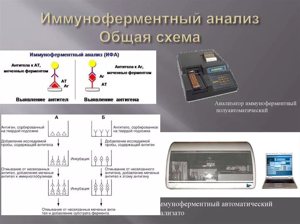 ИФА метод исследования. Иммуноферментный планшетный анализатор stat Fax 4200. Твердофазный конкурентный ИФА схема. Диагностические возможности ИФА. Ифа качественно что это