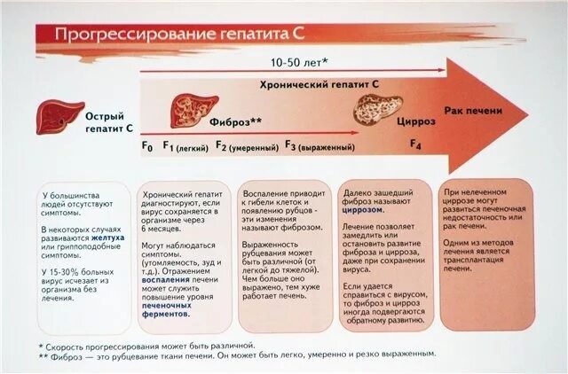 Работать с гепатитом б. Болезнь печени гепатит.