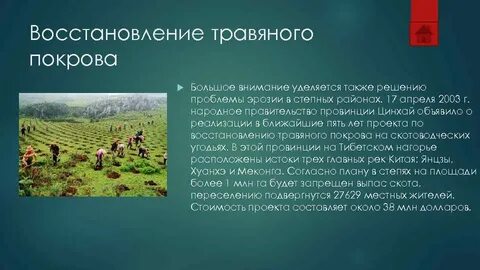 Состояние травяного покрова
