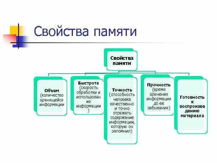 Основные понятия памяти. Процессы памяти в психологии схема. Память виды и свойства в психологии. Свойства памяти схема. Основные свойства памяти в психологии.