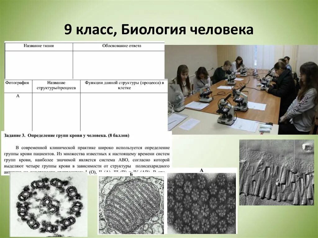 Региональный этап олимпиады по биологии. ВСОШ биология практика 9 класс. Региональный этап по технологии 10 класс