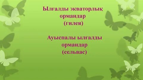 Ең ылғалды жер
