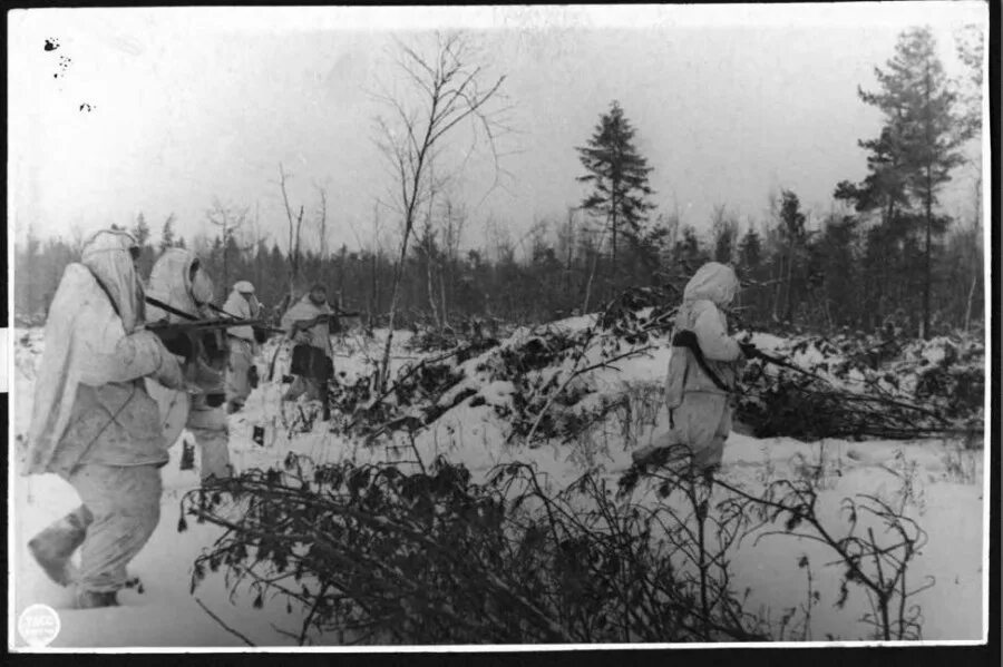 Второй штурм севастополя 1941-1942. Ржев 1941 оккупация. 1942 год апрель. Наступление войск вов. Сталинградская битва 1942.
