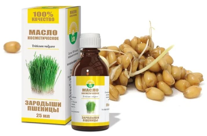 Семена зародышей пшеницы. Зародышей ростков пшеницы. Масло зародышей пшеницы 100 мл. Масло зародышей пшеницы для чего применяется. Пророщенная пшеница.