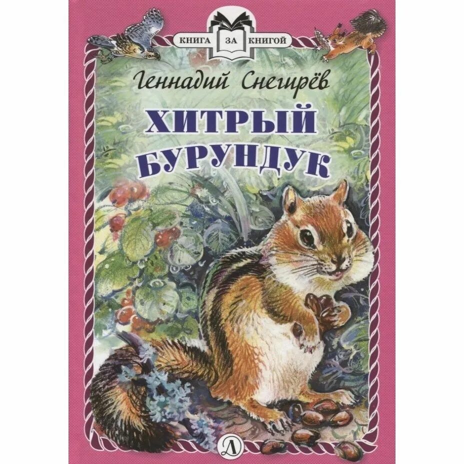 "хитрый бурундук". Хитрый бурундук снегирев раскраска. Снегирев г. Хитрый бурундук. Снегирев хитрый бурундук.