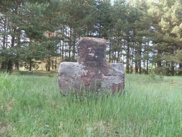 Деревня городище псковская. Деревня городище поселение воскресенское. городище врев.
