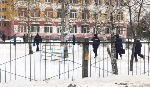 Брянская гимназия что произошло