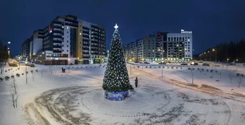 Елки петрозаводск