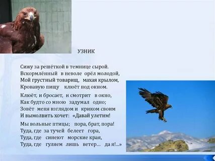 В темнице сырой орел молодой песня
