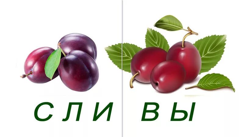 Слово ягода слоги. Фрукты по слогам разделить. Ежевика по слогам. Сколько слогов в слове ягода. Схема слова пион.