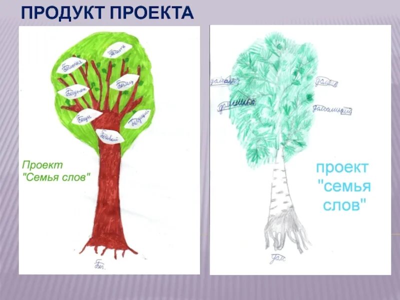 Характеристика слова дерево. Проект семья слов. Русский язык проект семья слов. Проект семья слов 3 класс. Проект по русскому языку семья слов.