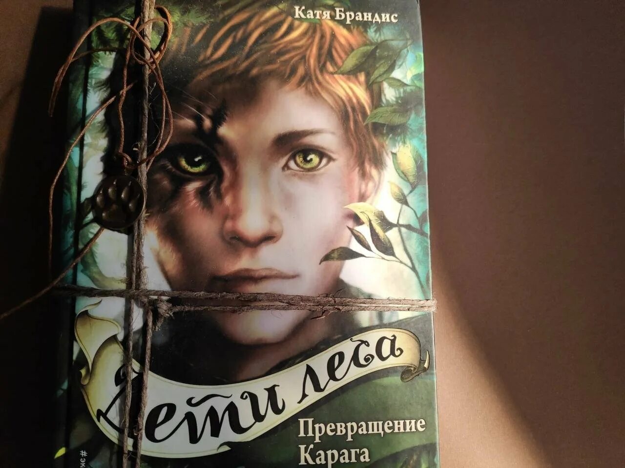 Книга дети леса катя брандис. Книга дети леса катя брандис. Книга лесные дети. Превращение карага. Книга дети леса катя брандис.