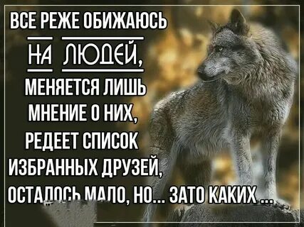 Фраза друзей не выбирают