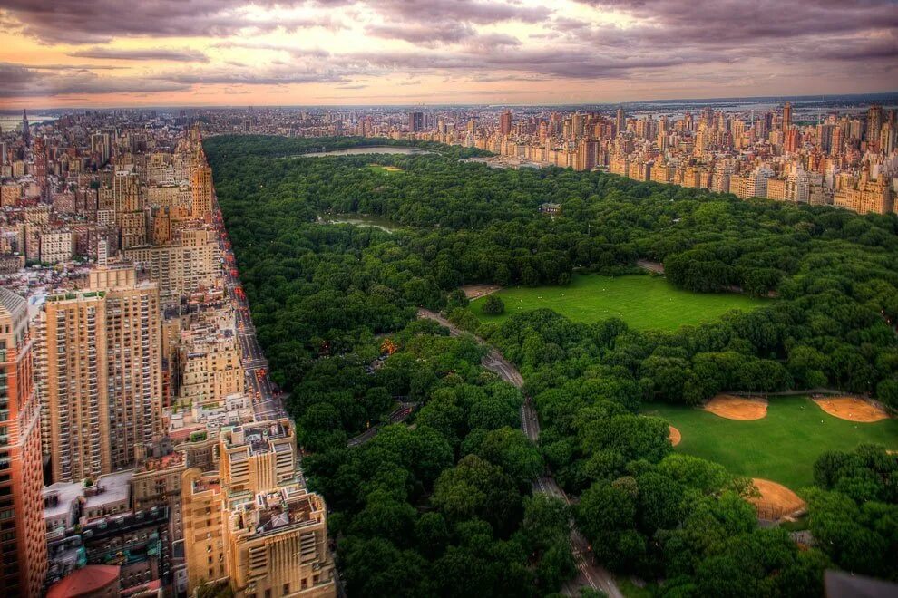 Парки в америке в городе. Центральный парк Нью-Йорк. Парк Манхэттен Нью-Йорк. Грин парк Нью Йорк. Центральный парк Манхэттен.