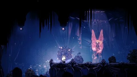 Hollow knight installer