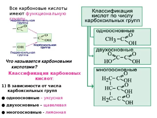 Кислоты с несколькими карбоксильными группами. Карбоновые кислоты уксусная кислота 10 класс химия. Двухосновные карбоновые кислоты классификация. Одноосновные и многоосновные карбоновые кислоты. План карбоновые кислоты