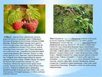 Студенттік инициация рәсіміндегі секс-оргия