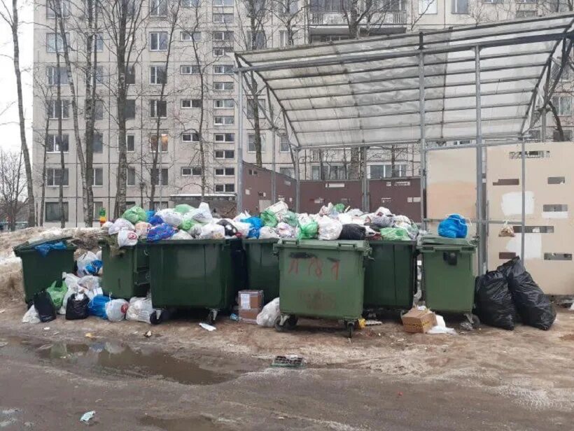 Тко санкт петербург. Питерская мусорка. Экология мусор. Фото мусора. Мусор в мусорке.