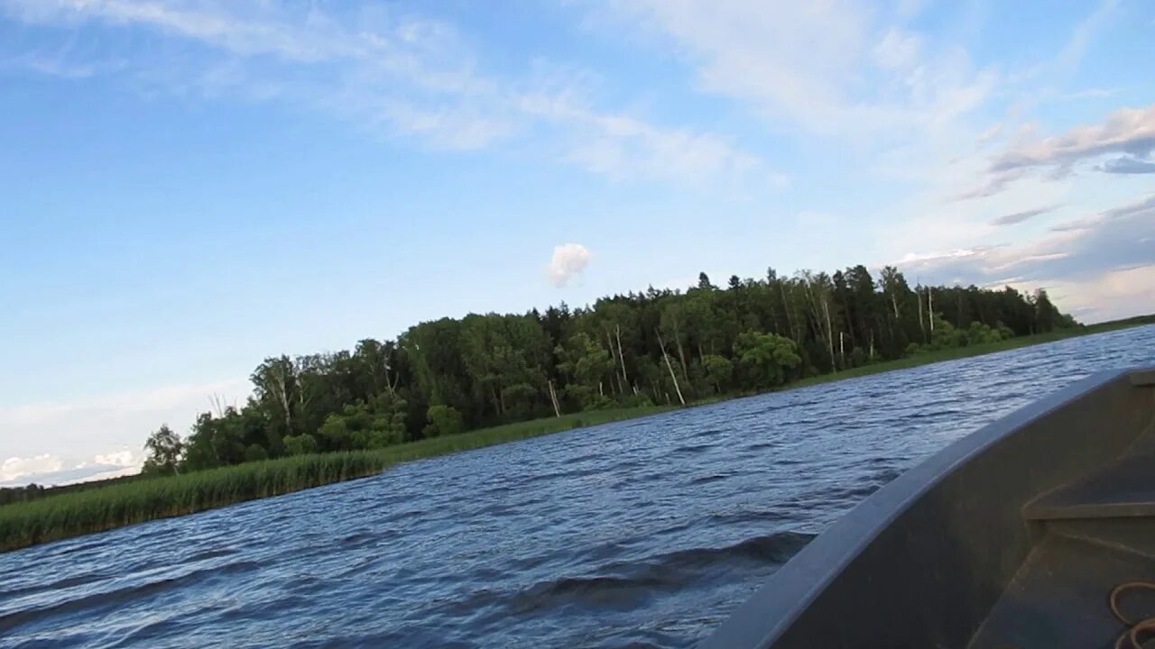 Остров могилевский иваньковское водохранилище. Московское море иваньковское водохранилище пляж. Московское море иваньковское водохранилище. Иваньковское водохранилище дубна. Остров могильный на иваньковском водохранилище.