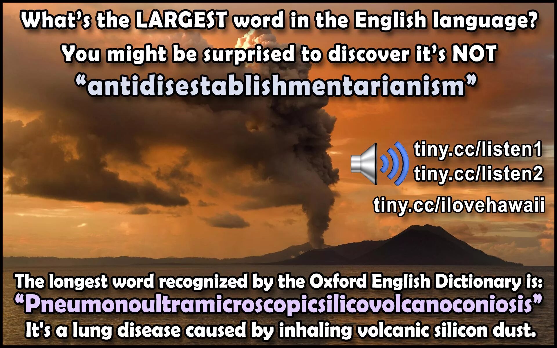Most longest word. Longest english word. the longest word in the world. the longest word in english. the most long word in english.