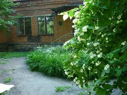 Сады корсакова