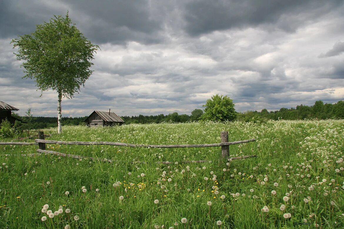 Где деревня где село. Окраина деревни. деревня киязибаш. лето в деревне. село поле.