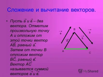 Произвольная точка вектора