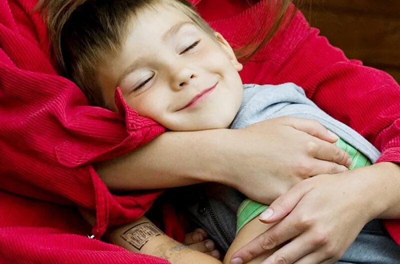 Кошка для детей. Мальчик гладит брюки утюгом. Мальчик гладит. Дети с животными. Девочка гладит мальчика.