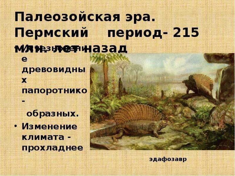 Охарактеризуйте эволюцию животных в палеозойскую