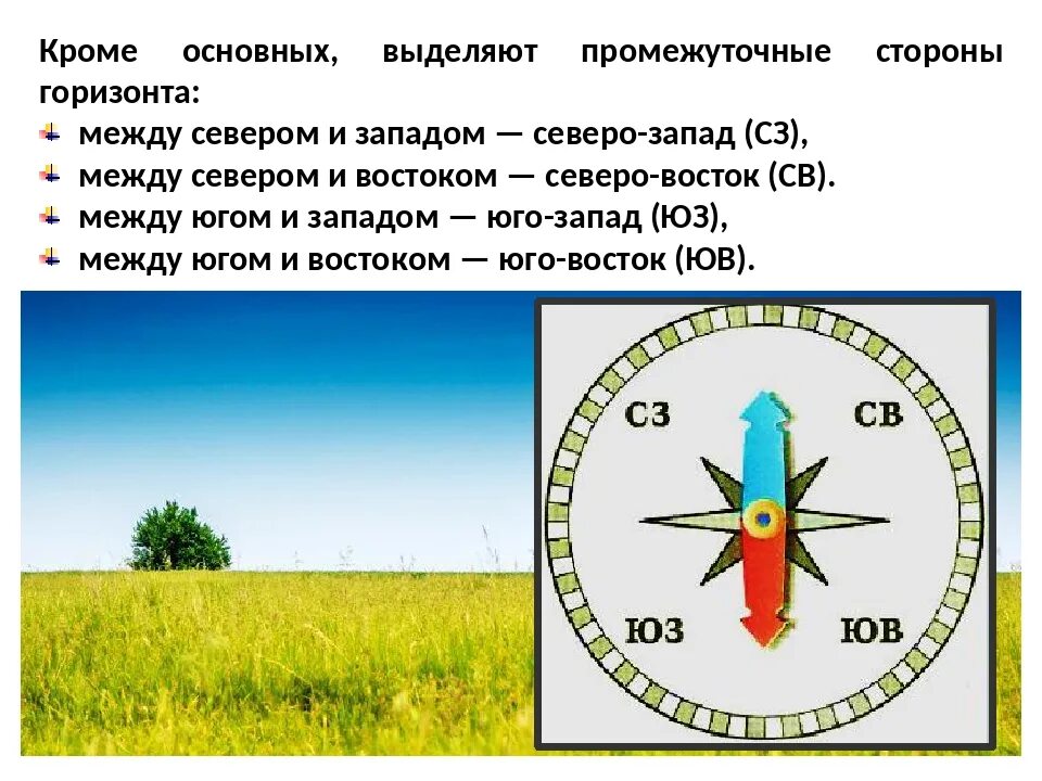 Какая сторона горизонта показана. Промежуточные стороны горизонта. Основные стороны горизонта.