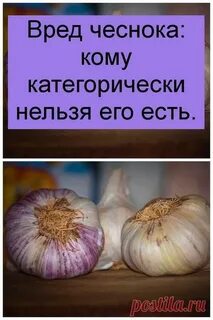 Сколько надо съесть чеснока