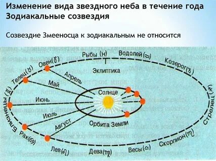 Течение года по дням в средней