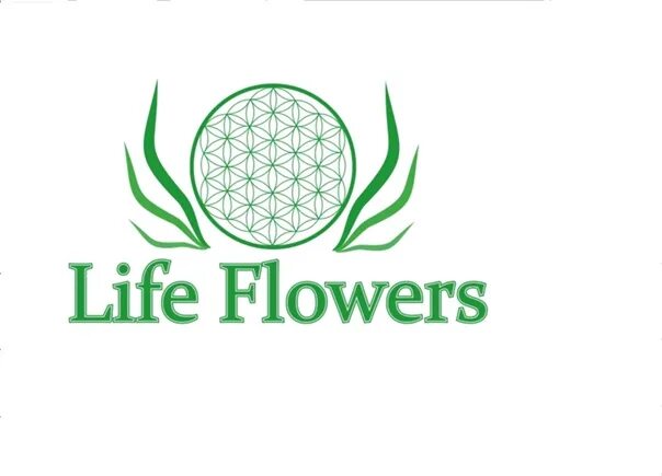 Are flowers of life. Хэп лайф цветок.