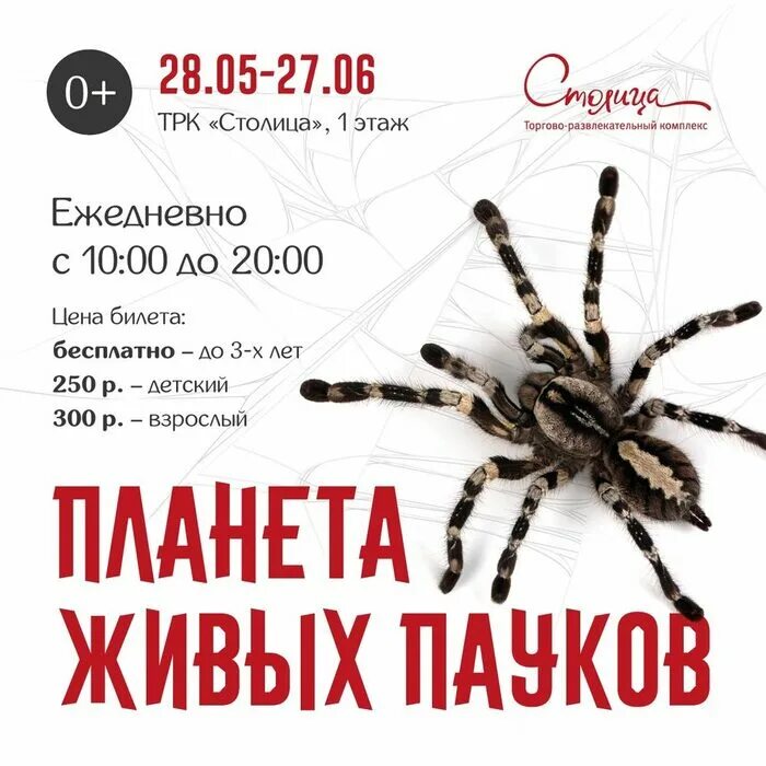 Тц уровни краснодар пауки