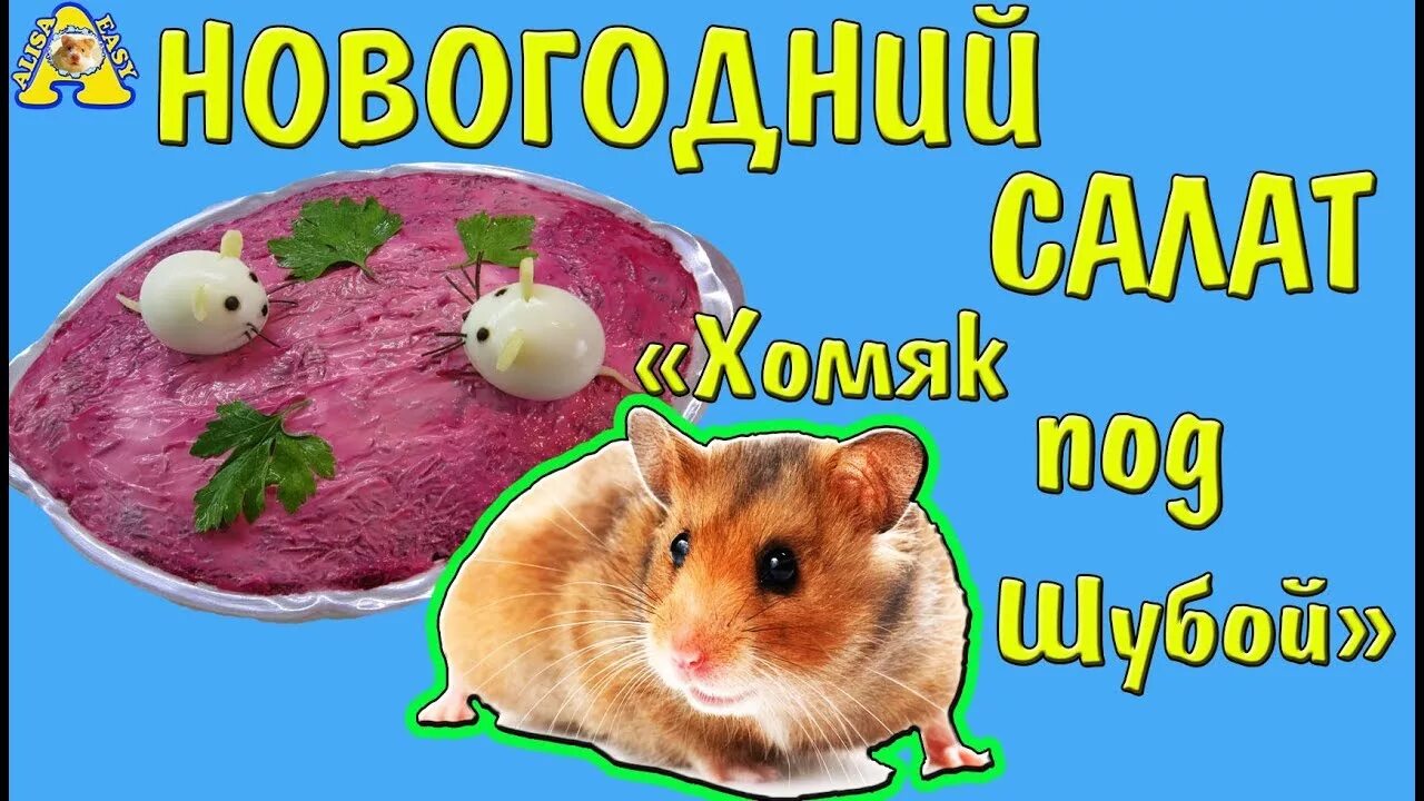 Хомяку можно салат. Хомяк с салатом. Хомячий салат. Вкусняшки для хомяка. Рецепты для хомяков.