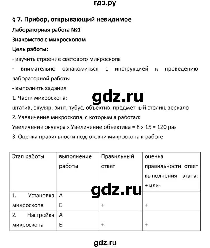 Биология 6 класс лабораторная работа строение листьев