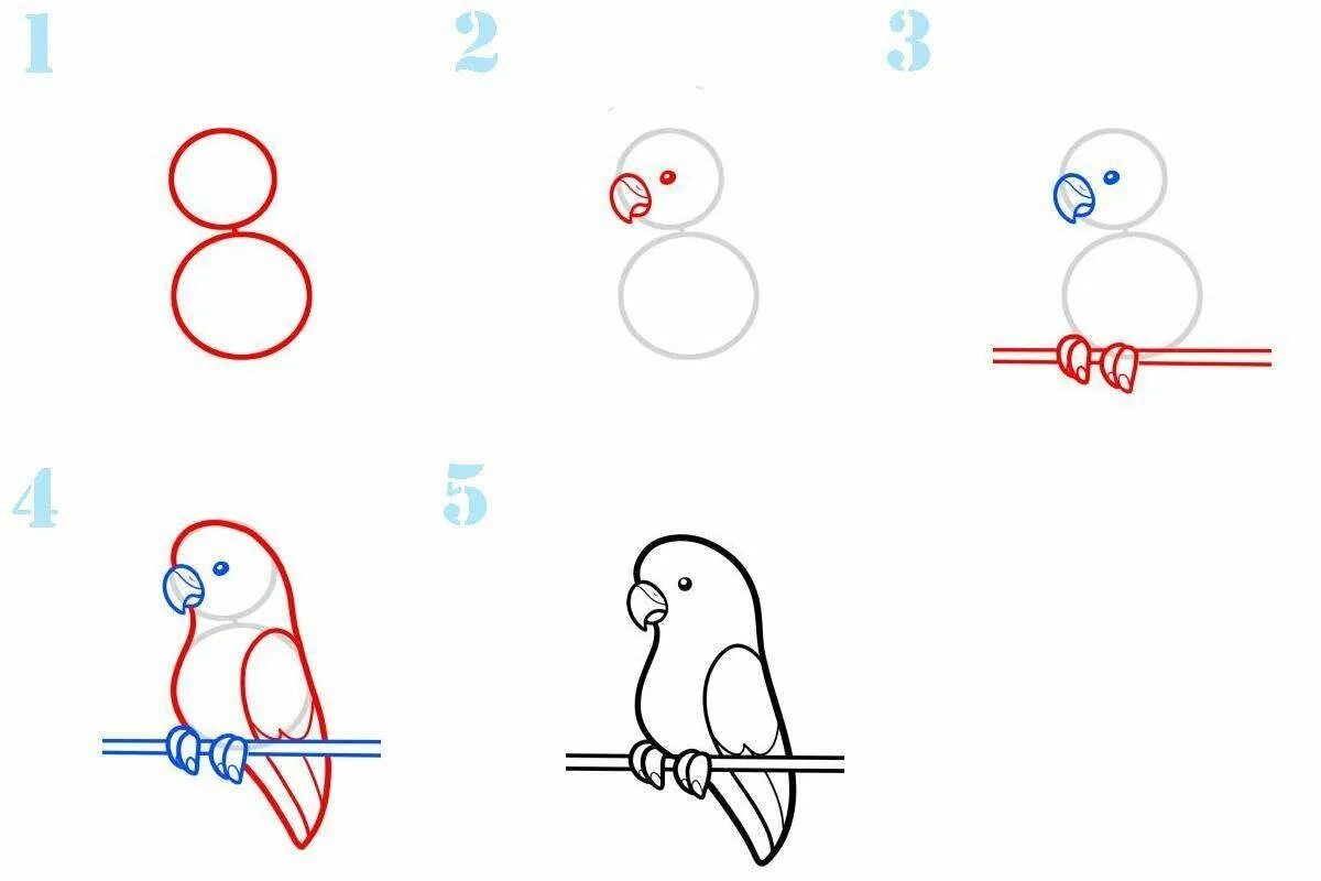 Попугай пошагово рисунок. Как нарисовать попугая поэтапно. Как нарисовать попугая карандашом. Поэтапный рисунок попугая. Нарисовать кому легко