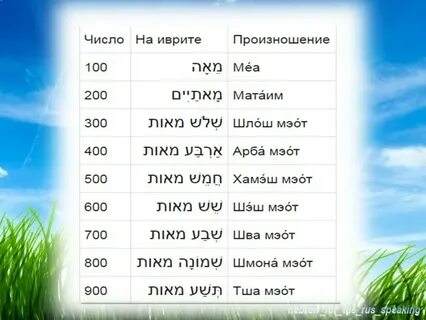 Счет месяцев дней