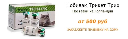 Трикет трио для кошек купить. Вакцина Нобивак трикет трио. Нобивак для кошек производитель. Нобивак трио для кошек. Вакцина кошек Нобивак производитель.