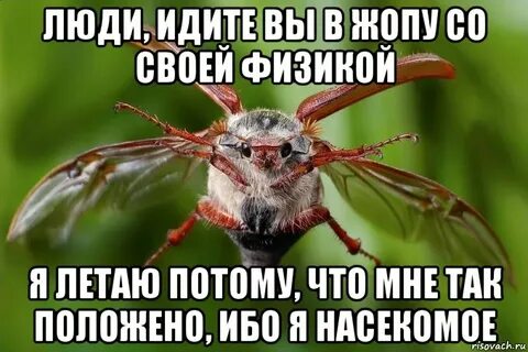 Да это я жук