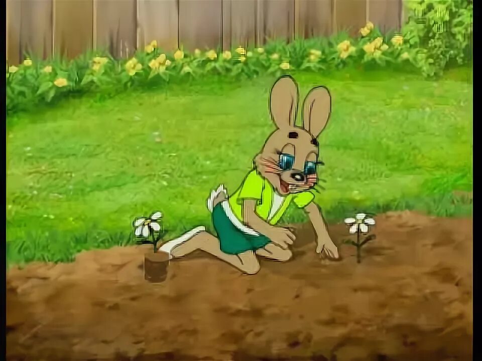 Двадцатый выпуск. Ну погоди 19 выпуск. Двадцатый выпуск. Ну погоди 19 и 20 выпуск. Ну погоди 1 20 выпуски.