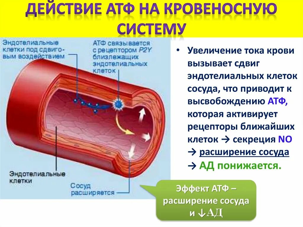 Сосуды при температуре
