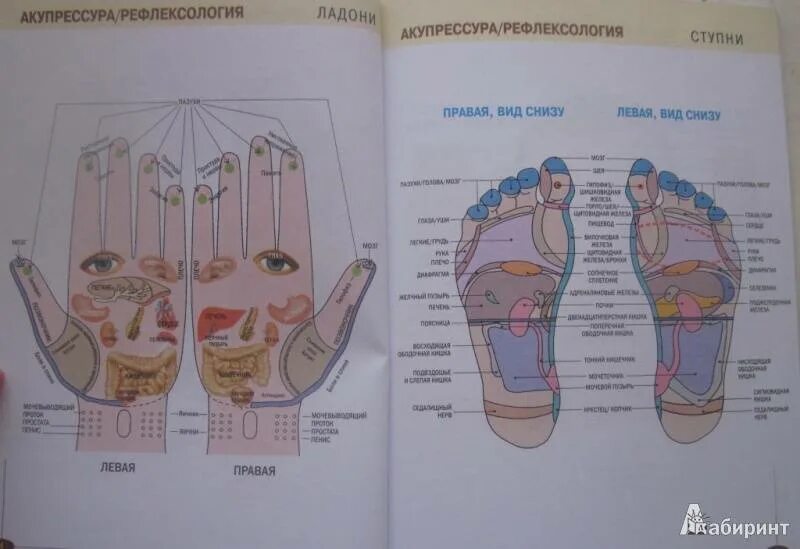 Китайская медицина руки. Су Джок акупунктура меридианы. Биологически активные точки на теле человека для массажа. Стопы массаж Су Джок точки. Акупрессура точечный массаж акупунктура.