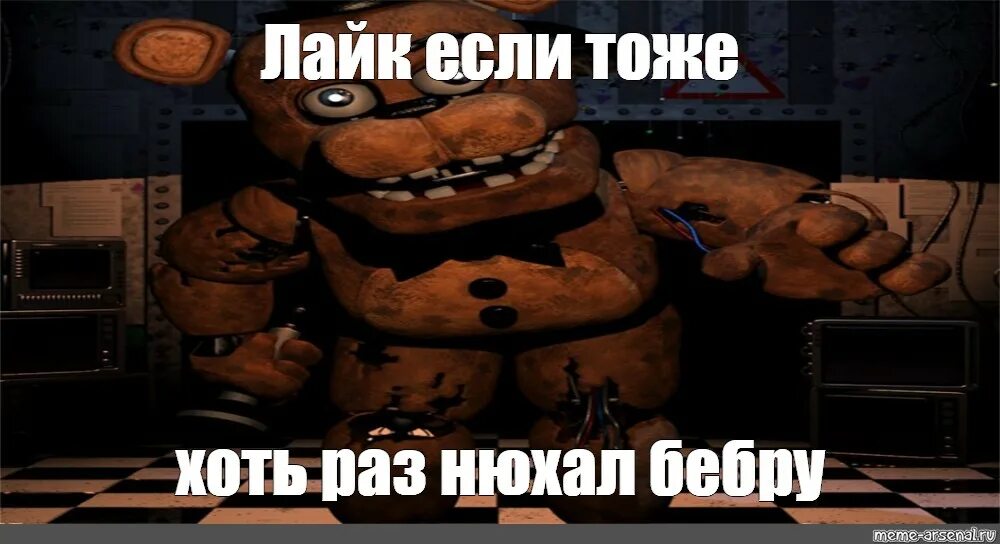 Мишка фредди бебру. Мишка фредди бебра. мемы с беброй и мишкой фредди. мишка фредди бебра мемы. мшк фредди.
