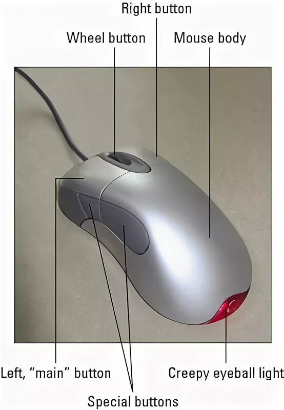 First computer mouse. How a computer mouse works. Training mouse style. Стихотворение little mouse. Types of mouses.