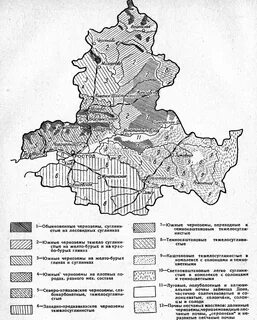 Грунты ростовская область