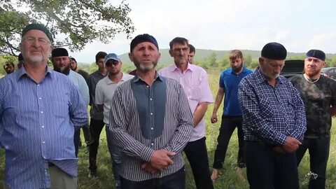 Погода в куларах